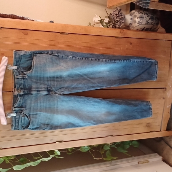 GREAT NORTHWEST CLOTHING COMPANY Blue Denim Jeans - Picture 1 of 7